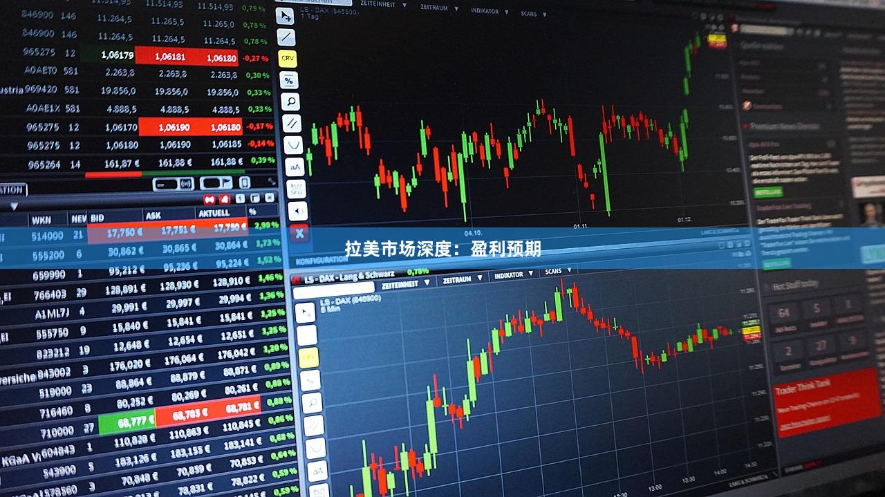 拉美市场深度：盈利预期